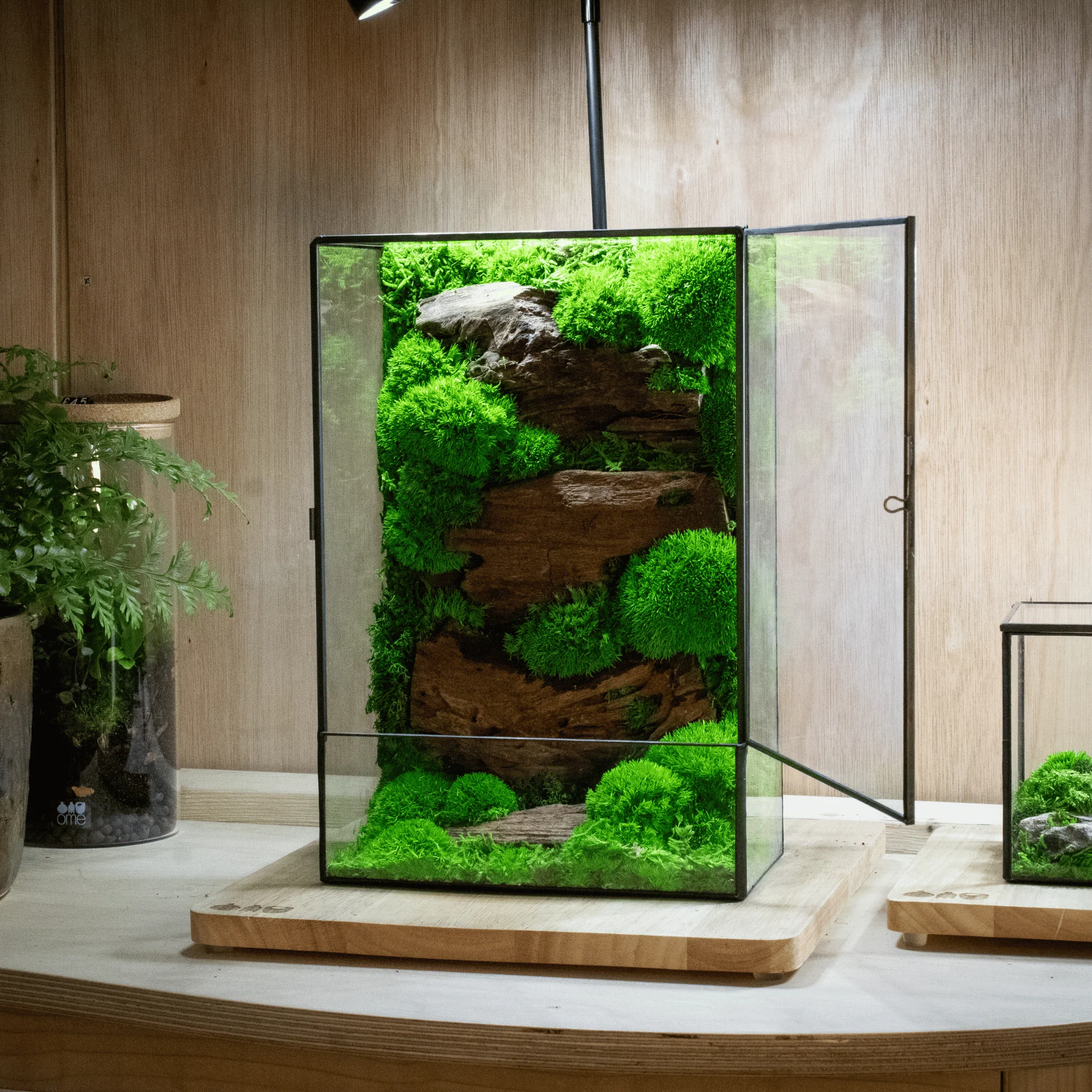 Moss Box V2 - Image 3
