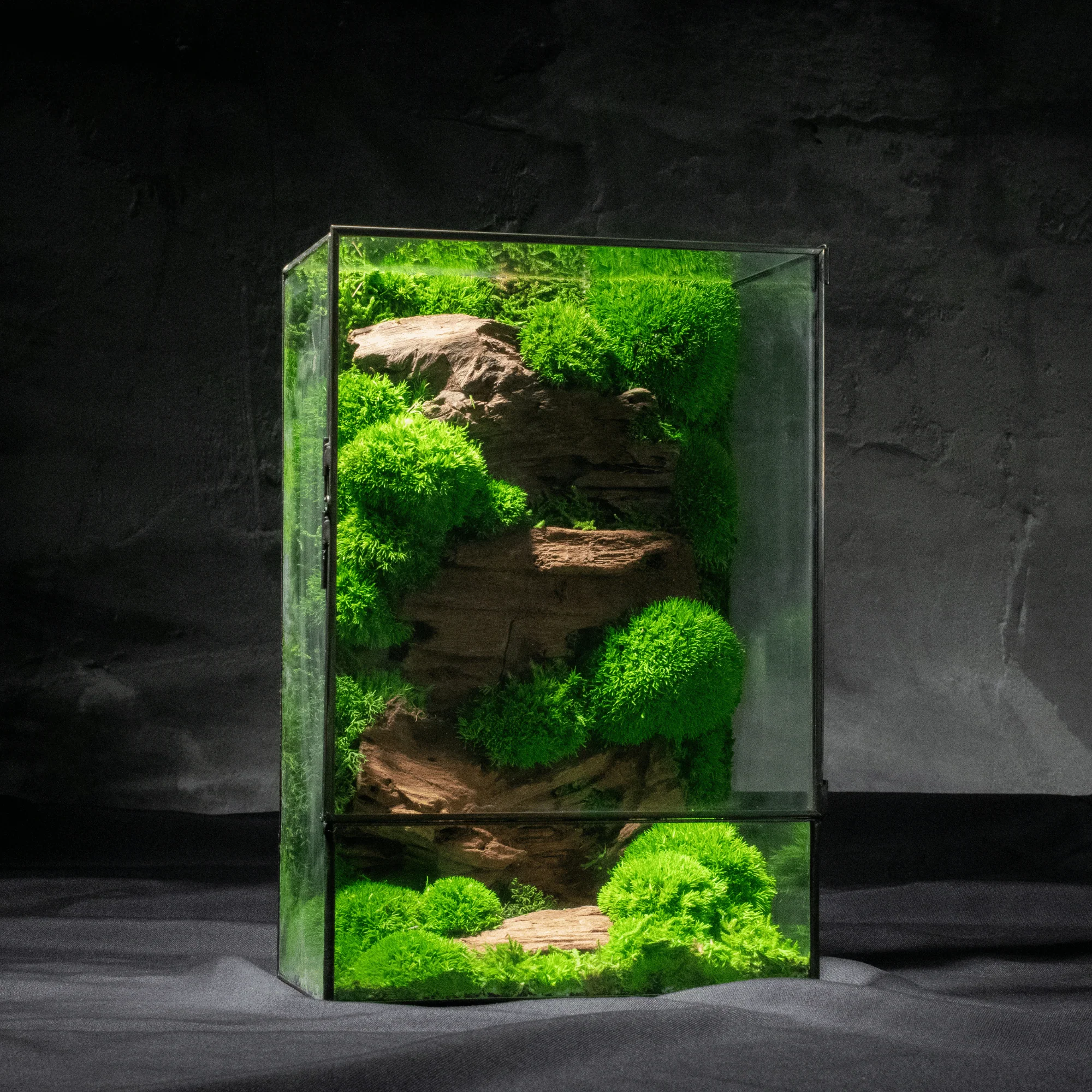 Moss Box V2 - Image 4