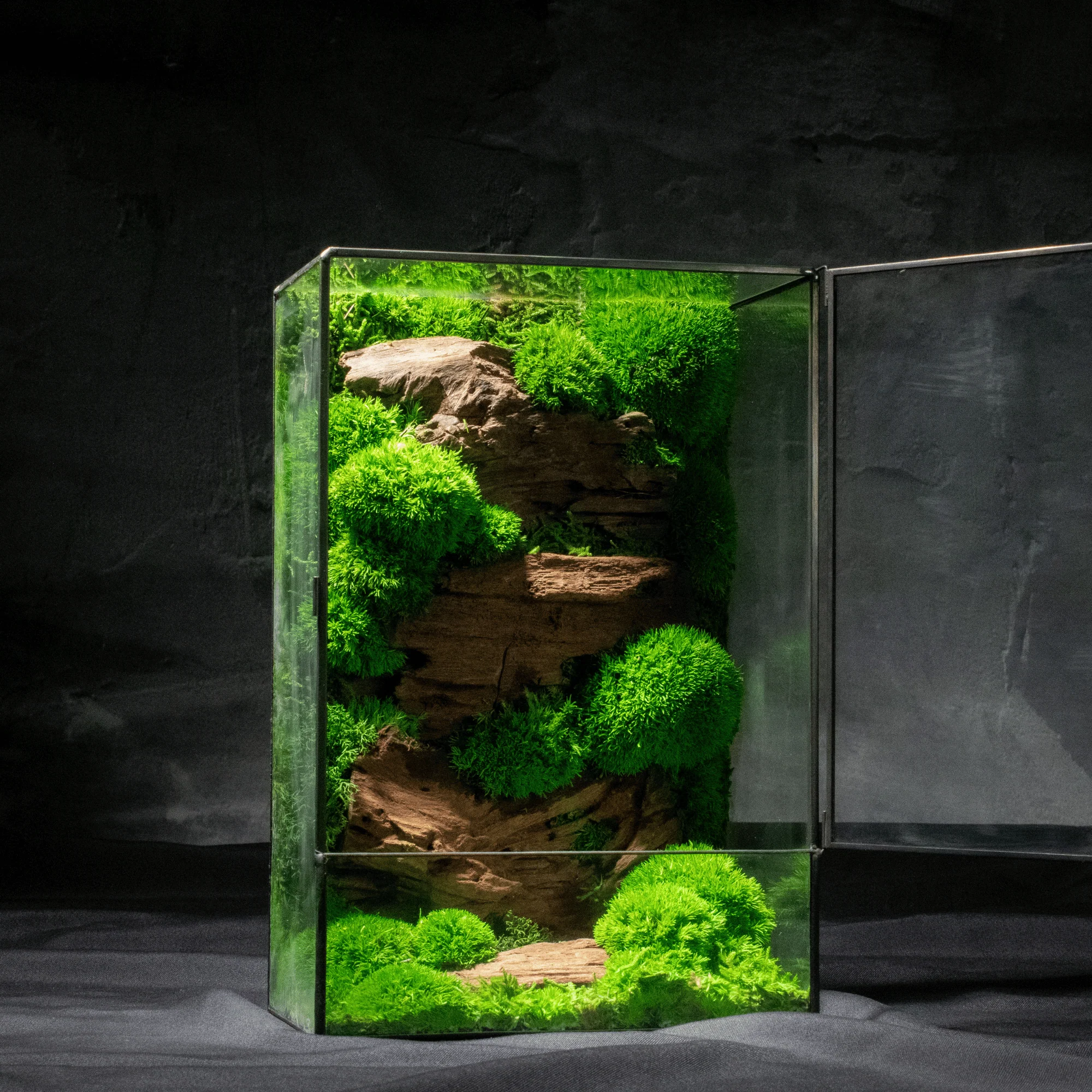 Moss Box V2 - Image 5