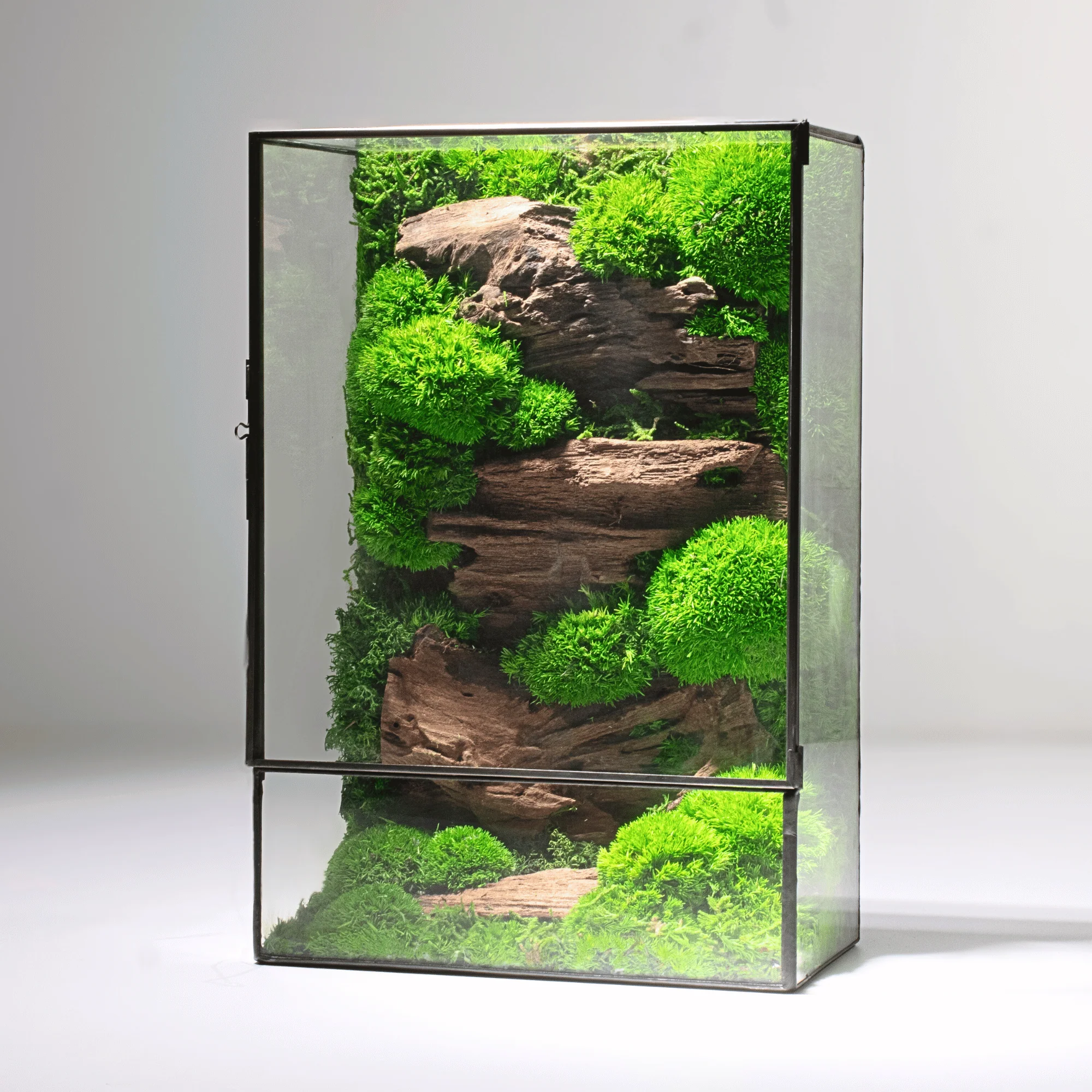 Moss Box V2 - Image 7