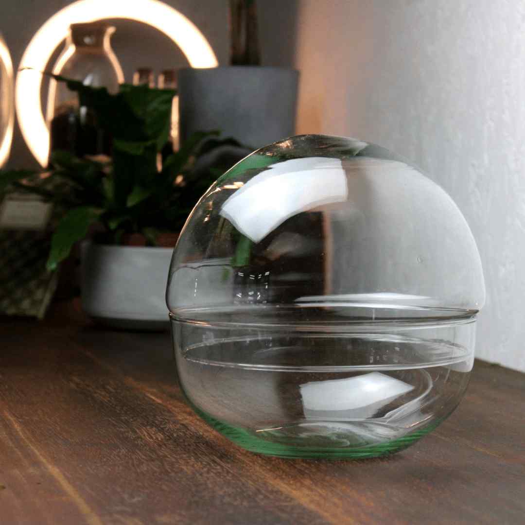 Orb Terrarium Container - Image 3