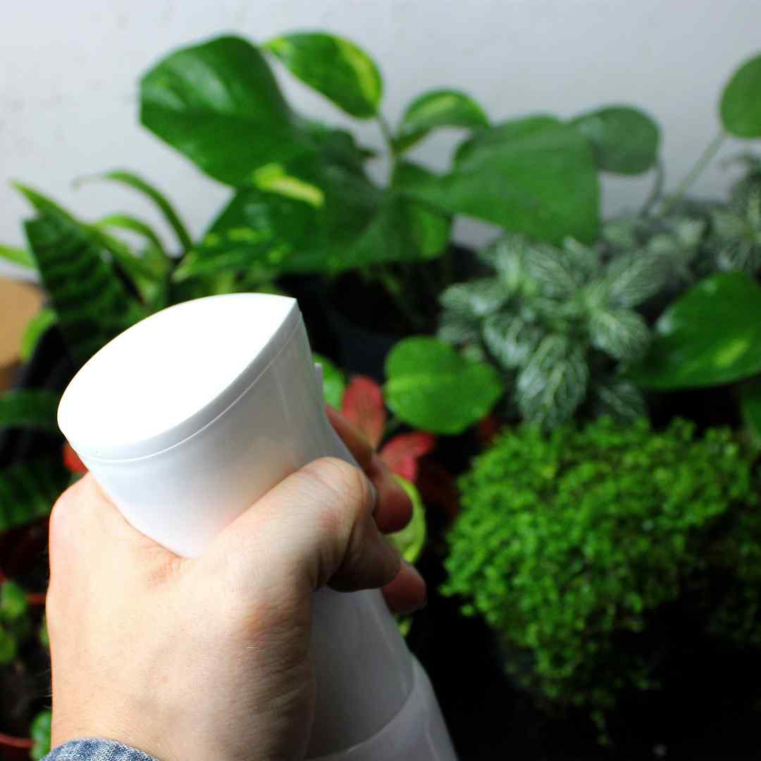 Plant Mister - Image 3