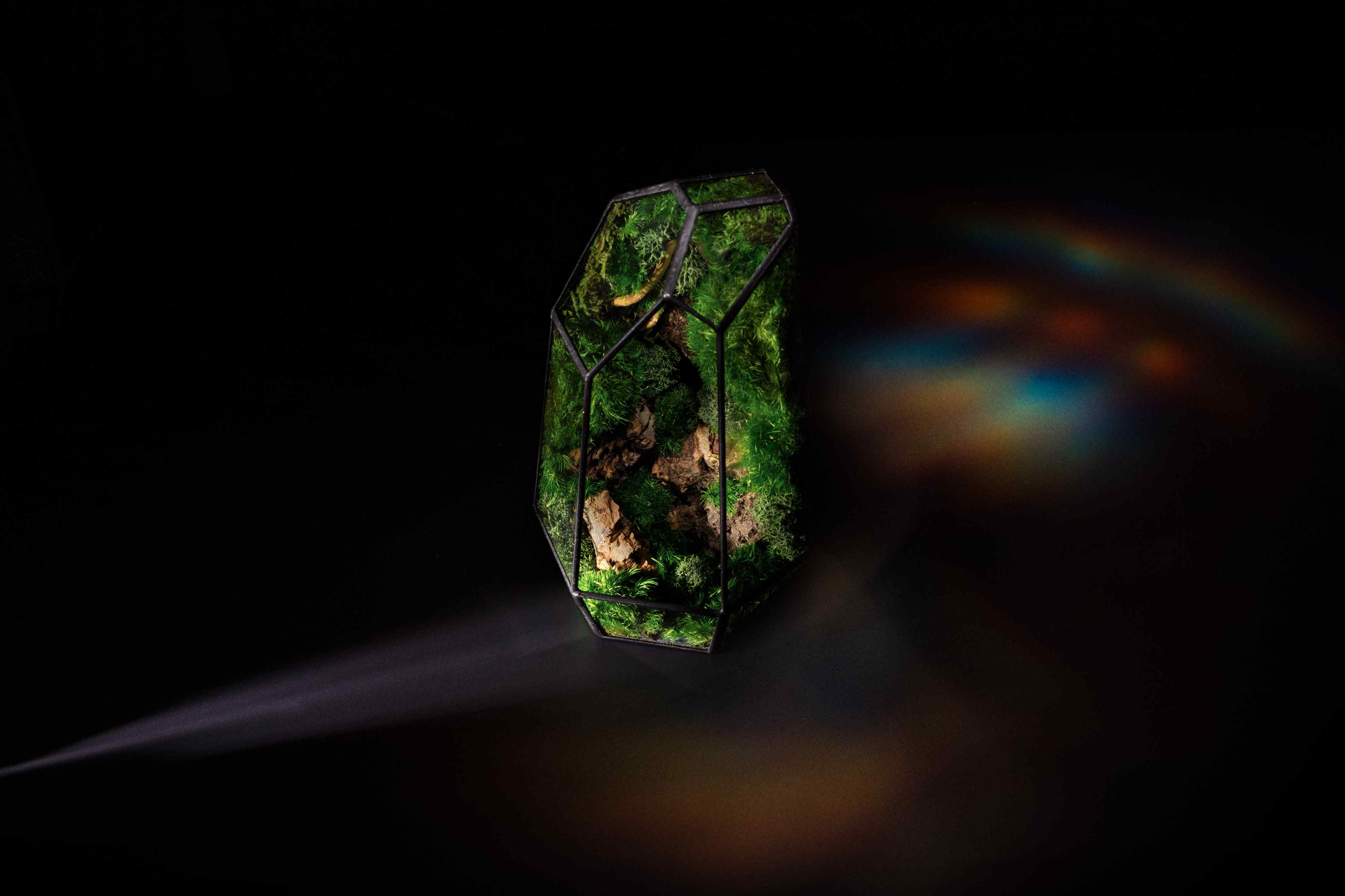 Prism - Image 12