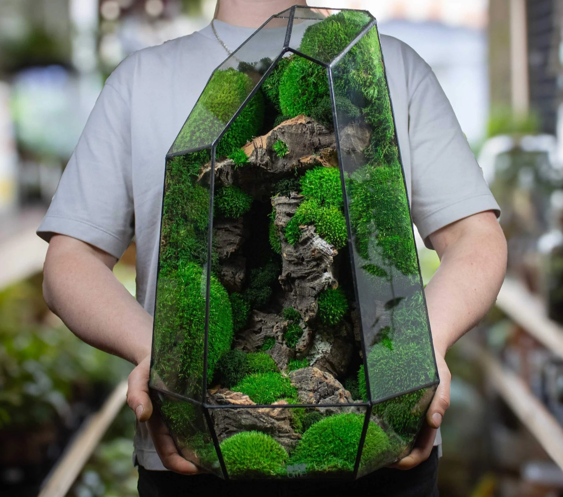 Prism - Image 4