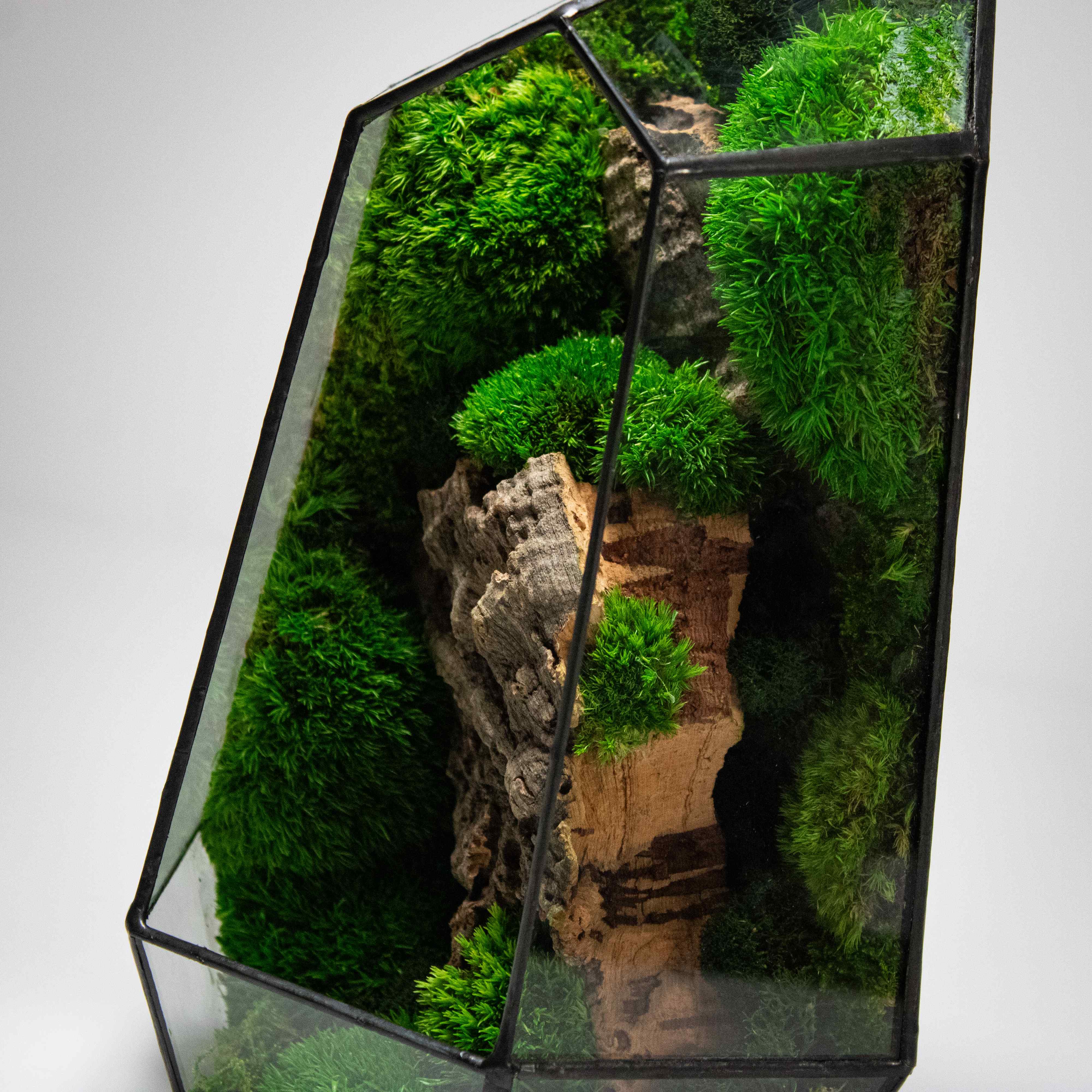 Prism - Image 5