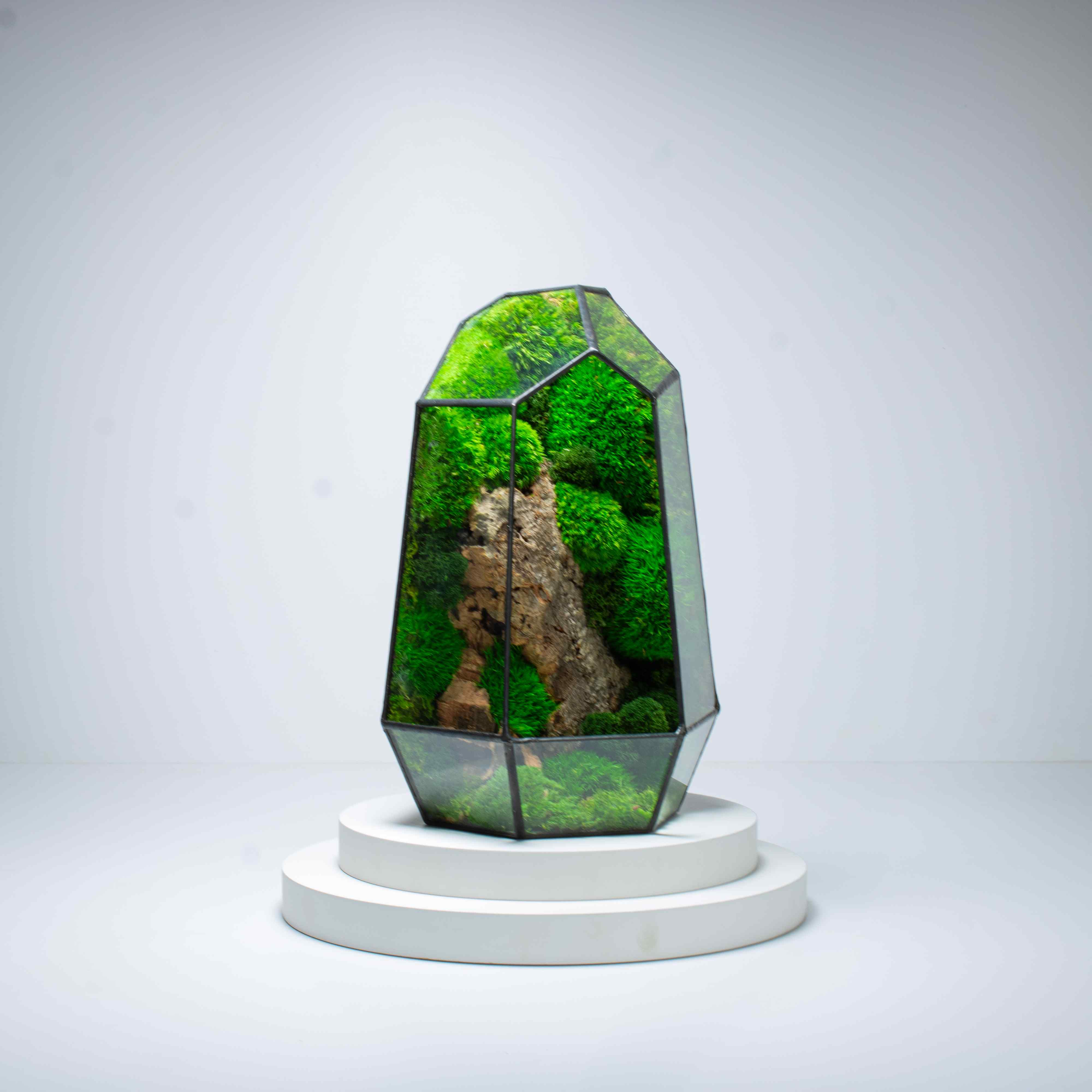 Prism - Image 8