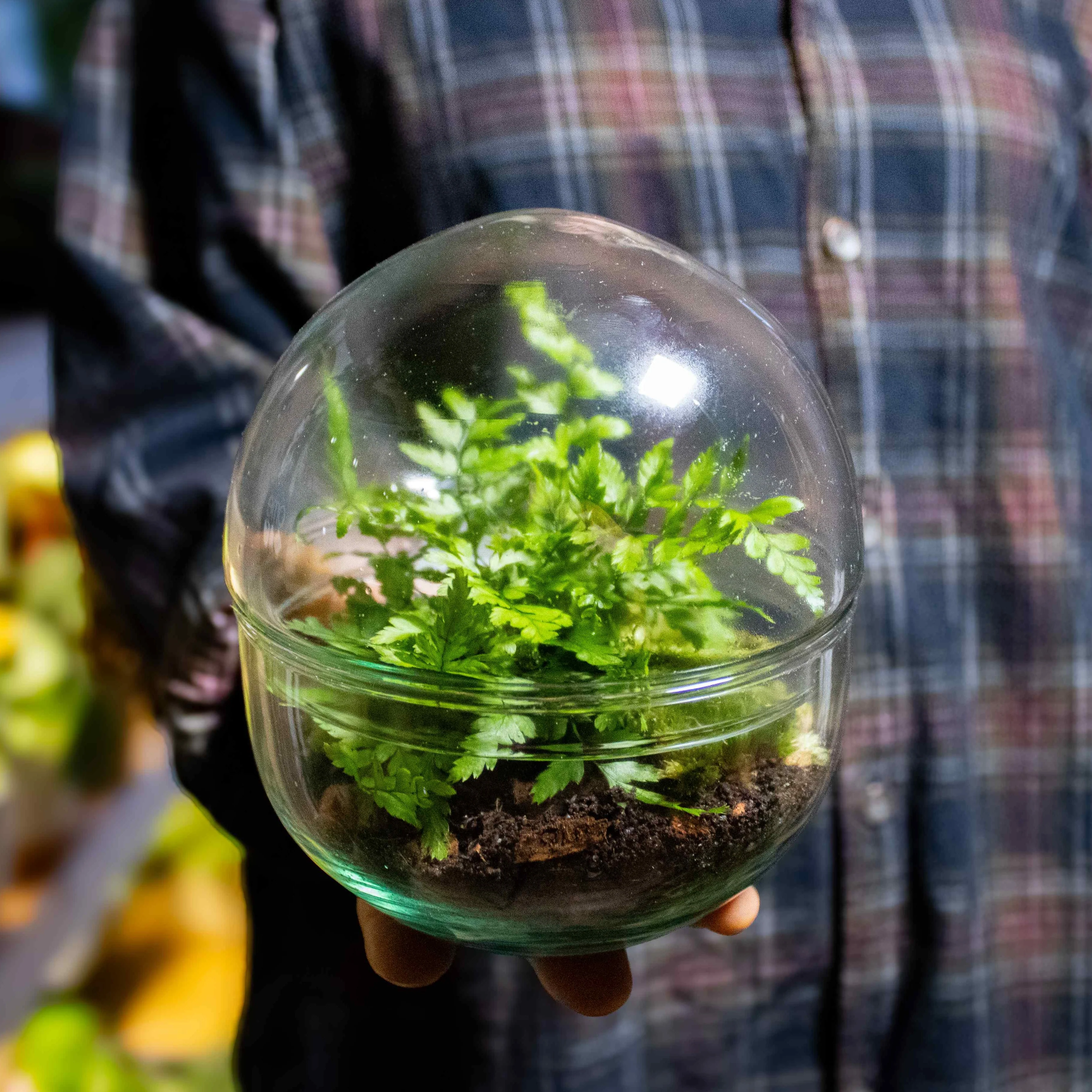 Mini Orb Terrarium Container - Image 3