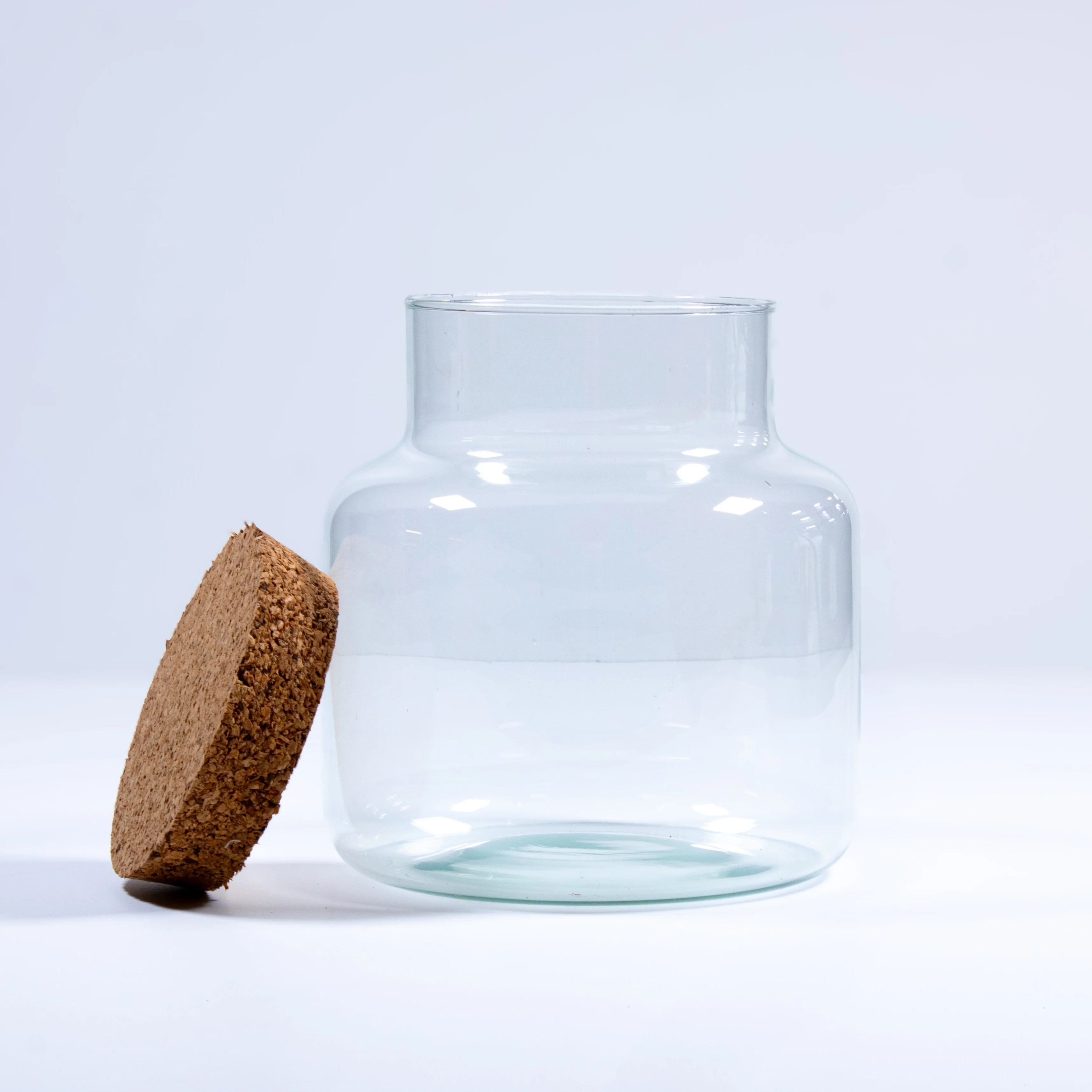 Stout Terrarium Container - Image 4