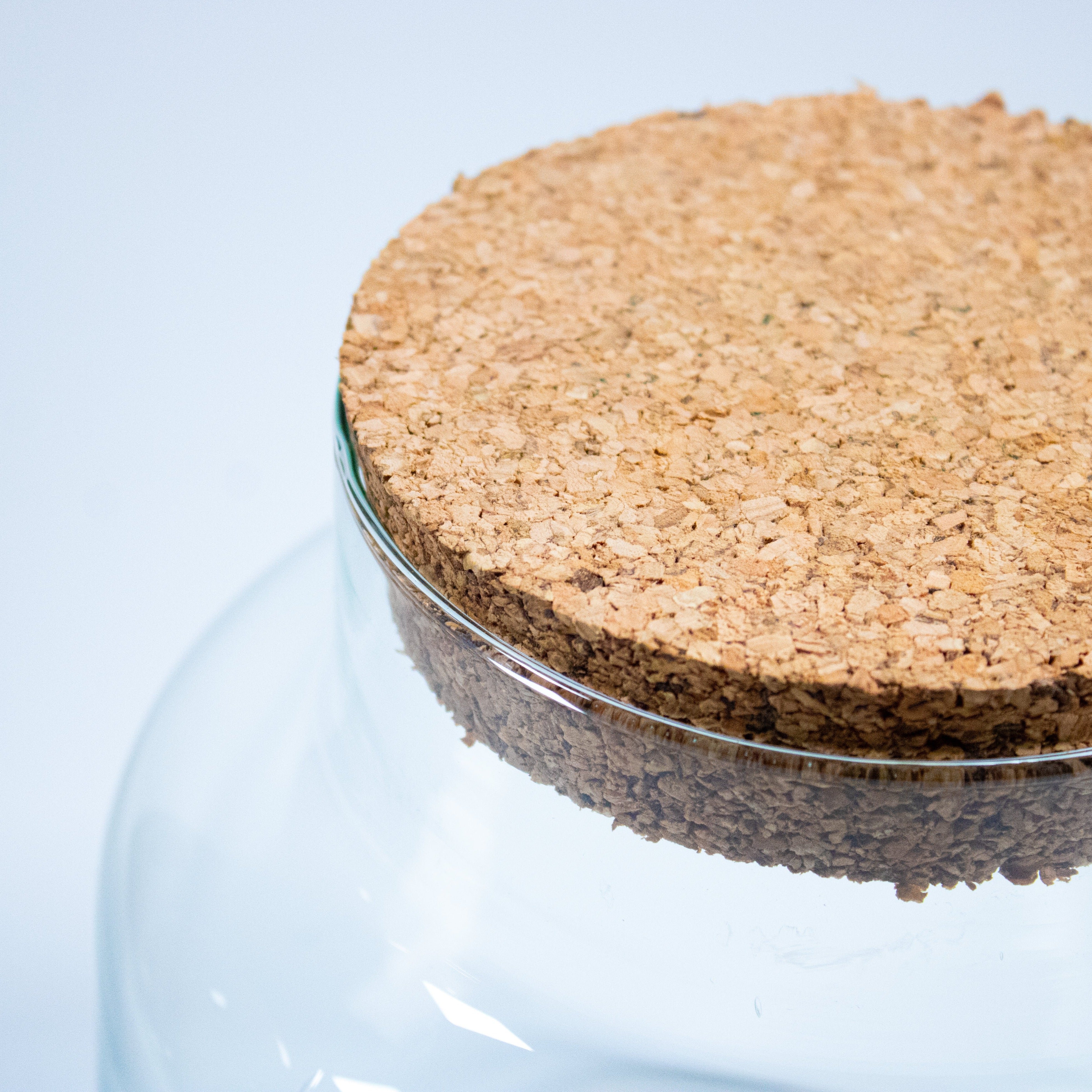 Stout Terrarium Container - Image 5