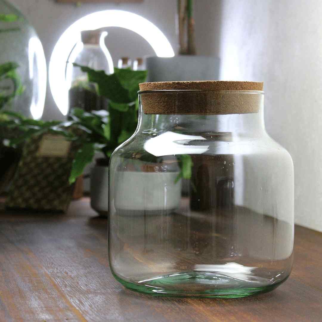 Stout Terrarium Container - Image 6