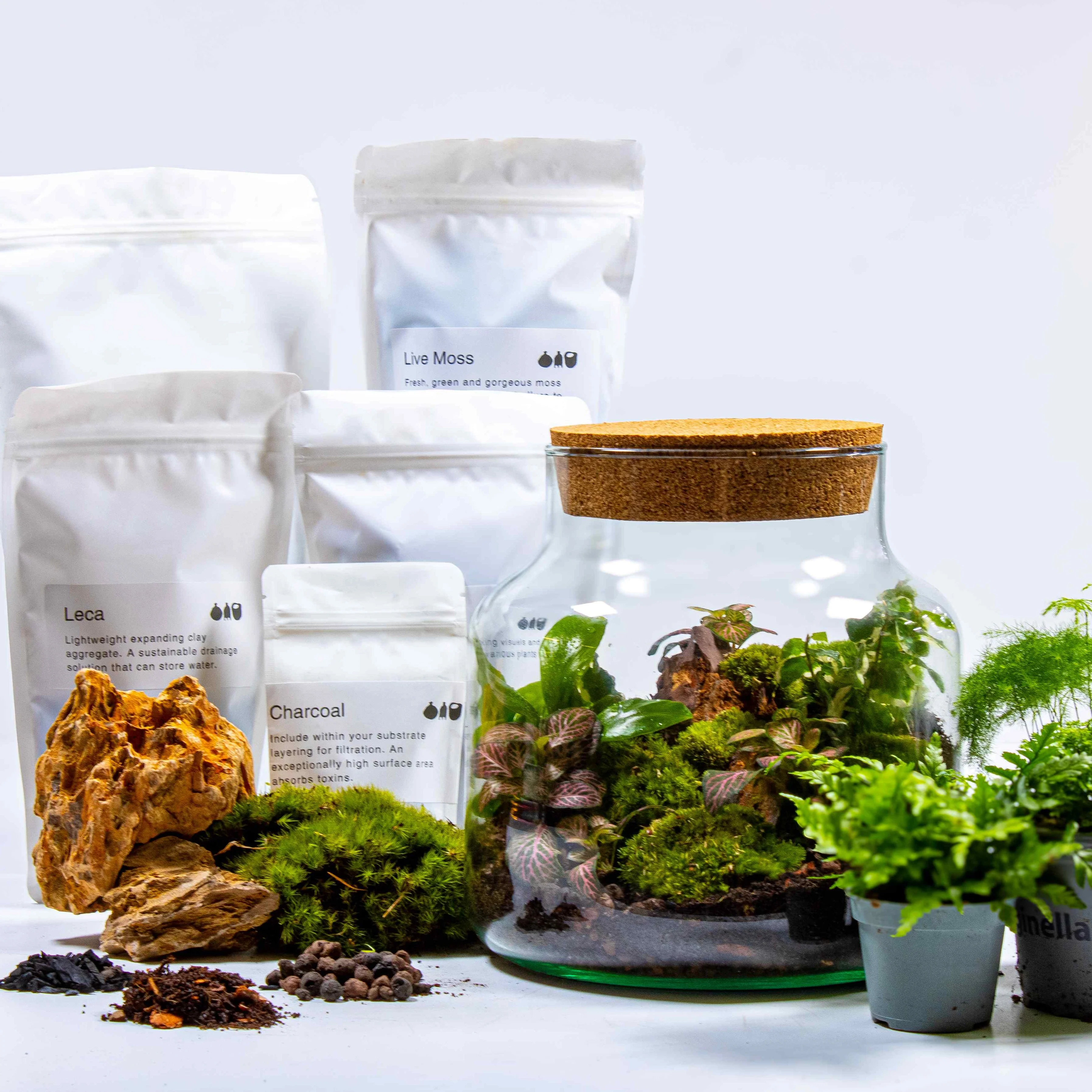 Stout Terrarium Kit - Image 2
