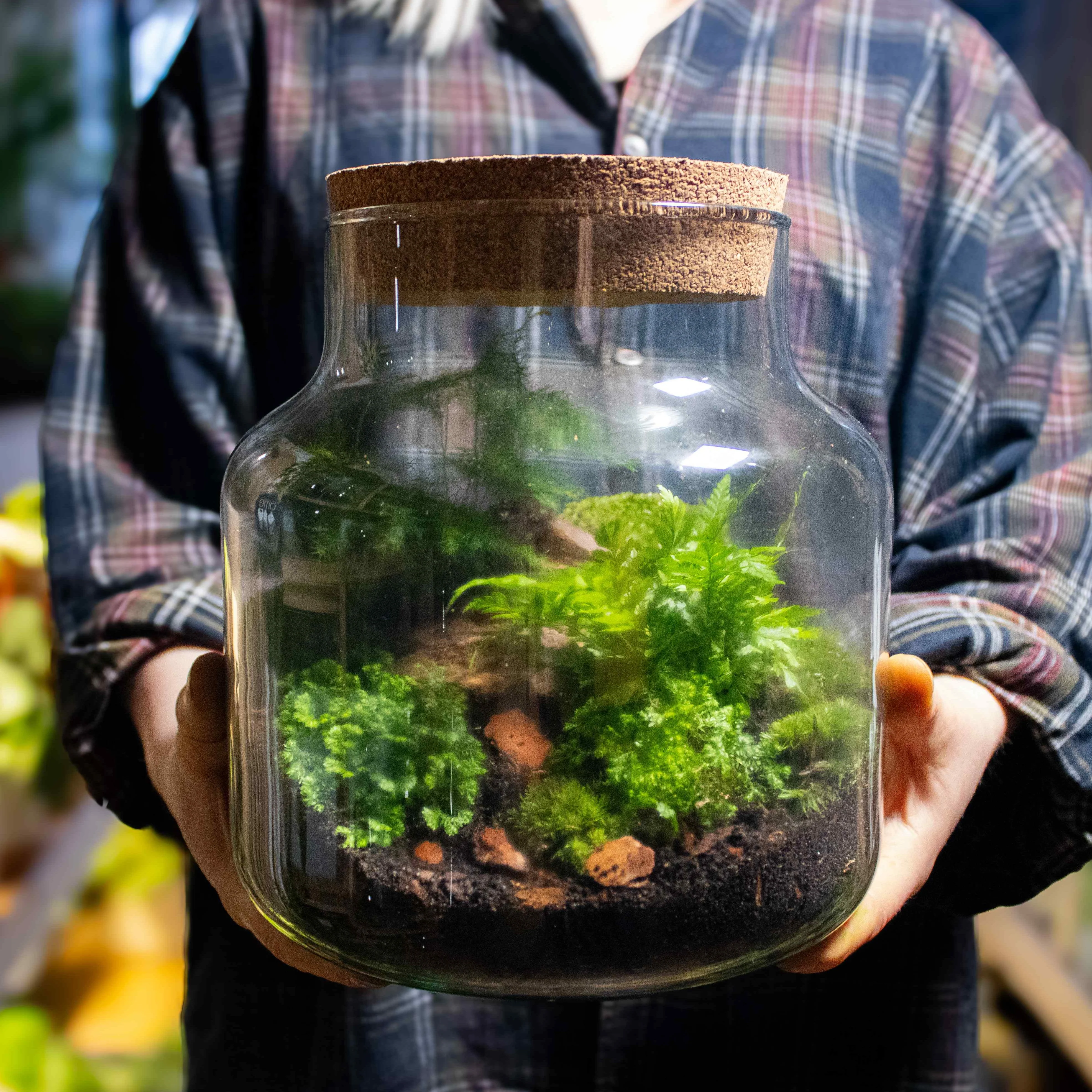 Stout Terrarium Kit - Image 5