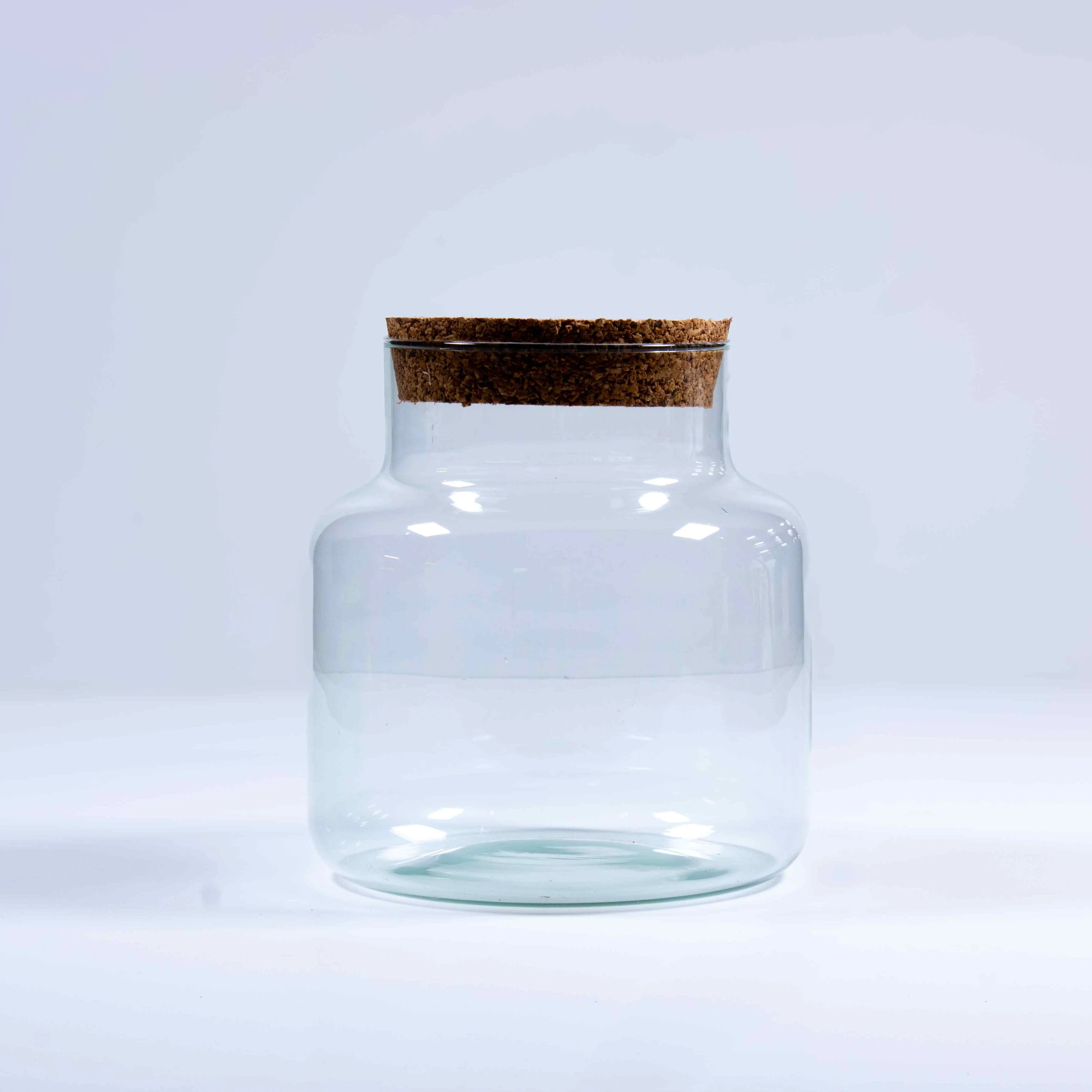 Stout Terrarium Kit - Image 6