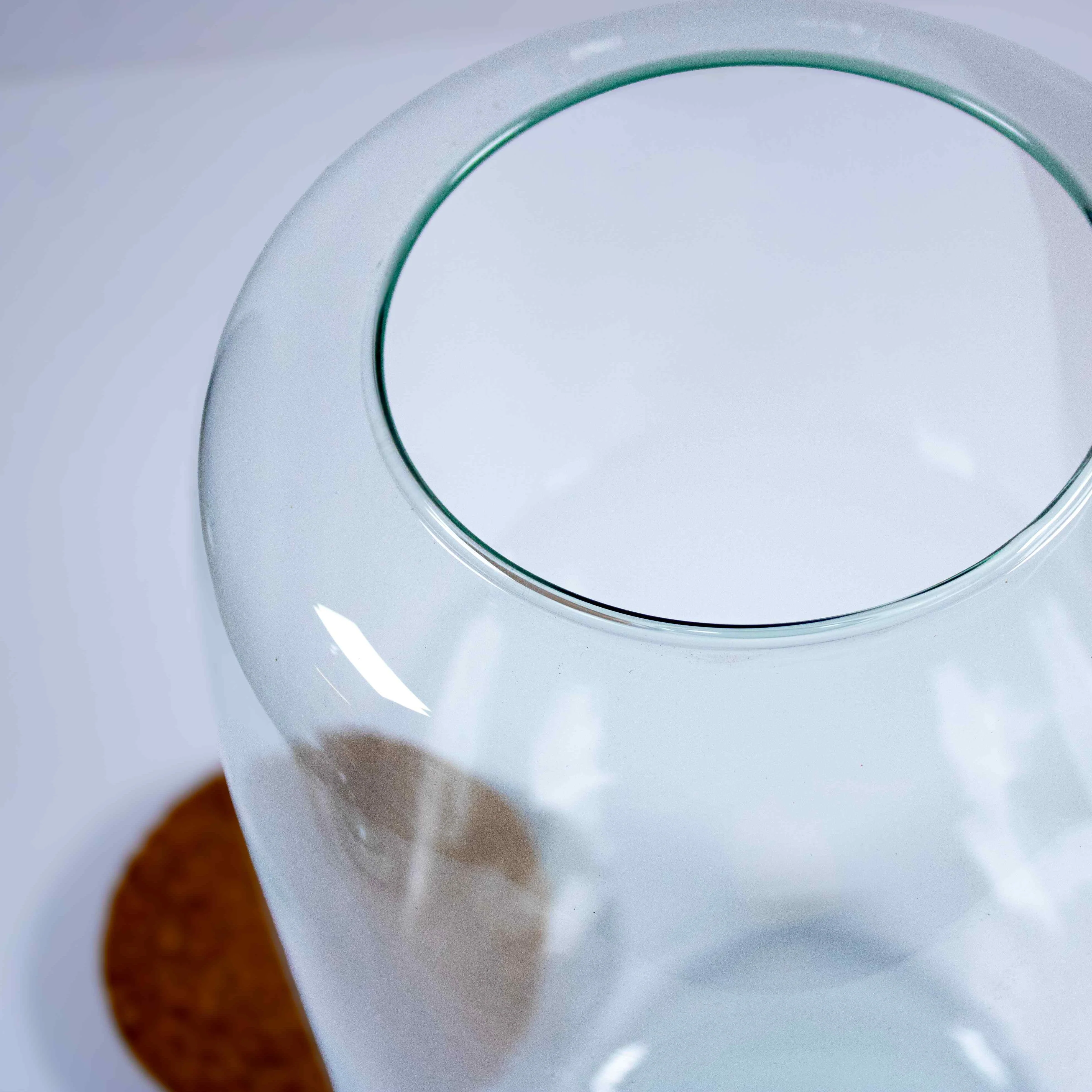 Tall Terrarium Container - Image 2