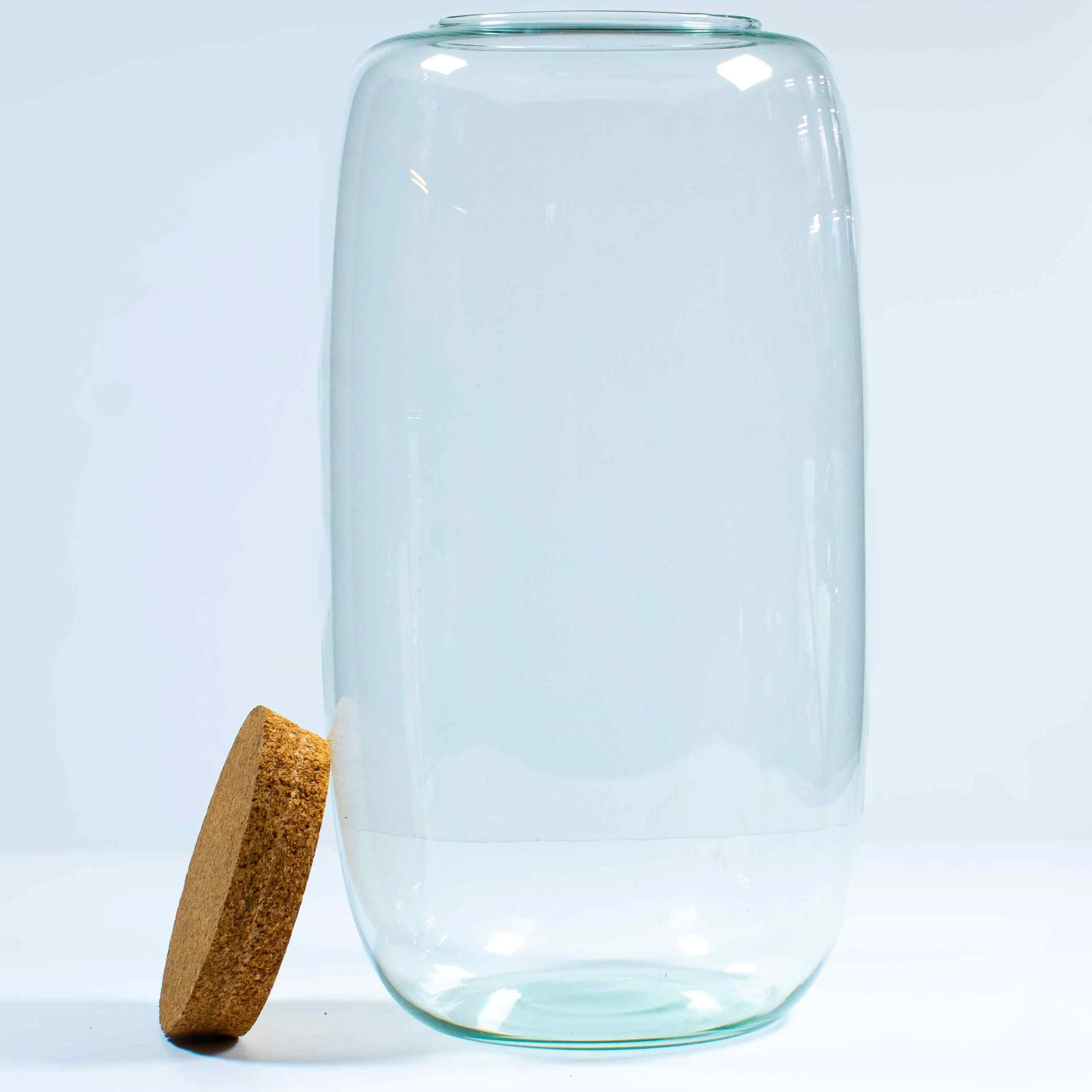 Tall Terrarium Container - Image 3