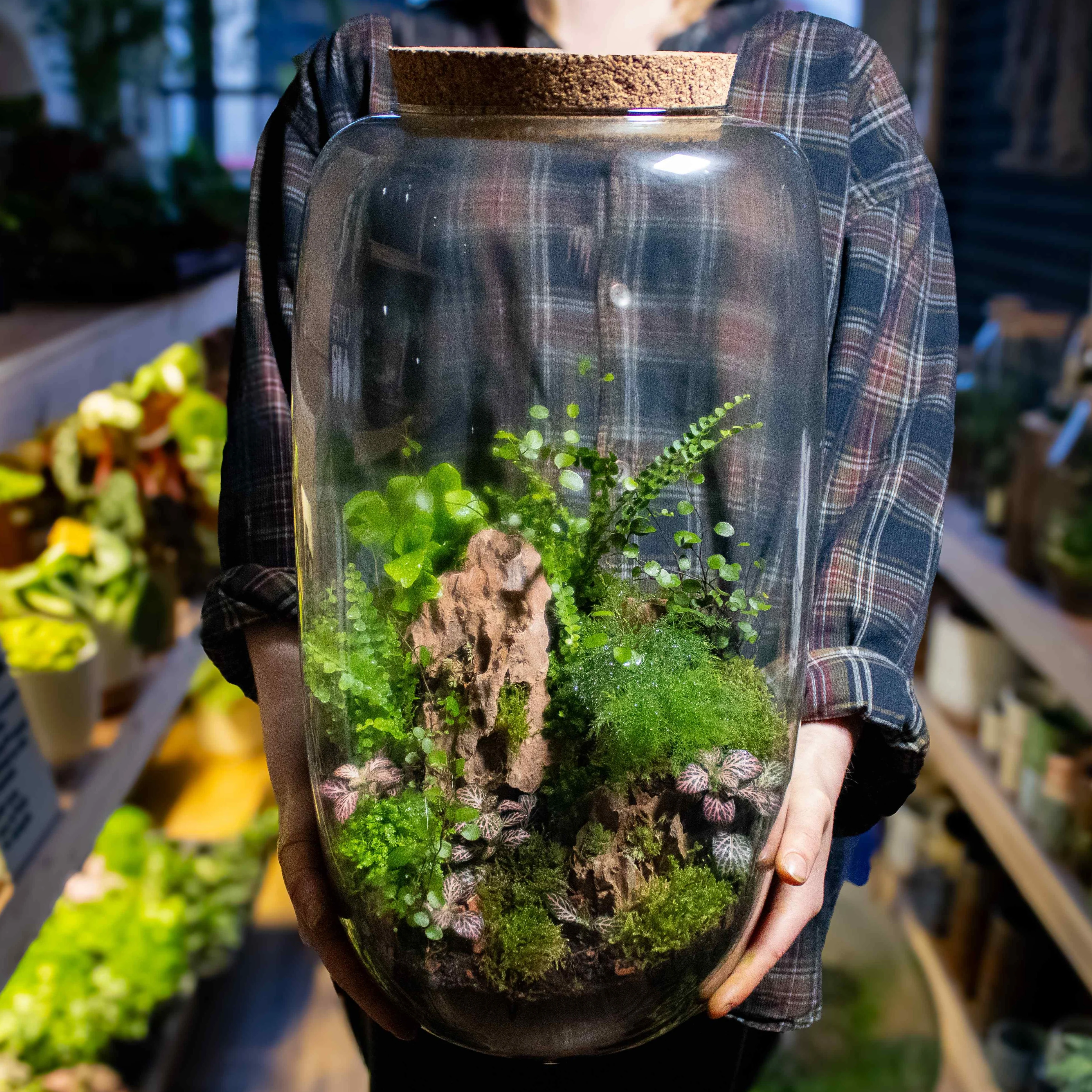 Tall Terrarium Container - Image 4
