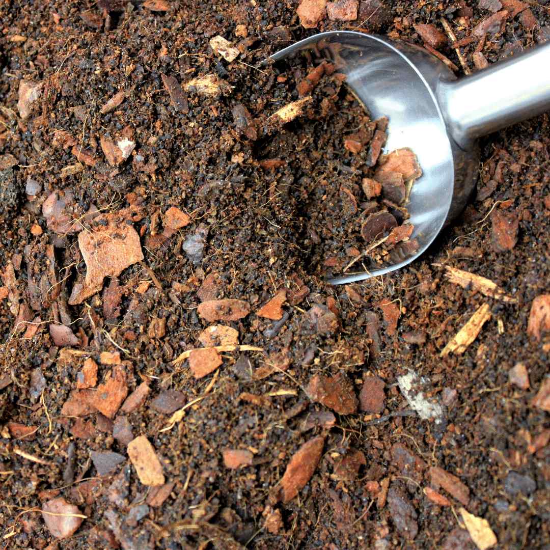 Terrarium Soil - Image 2