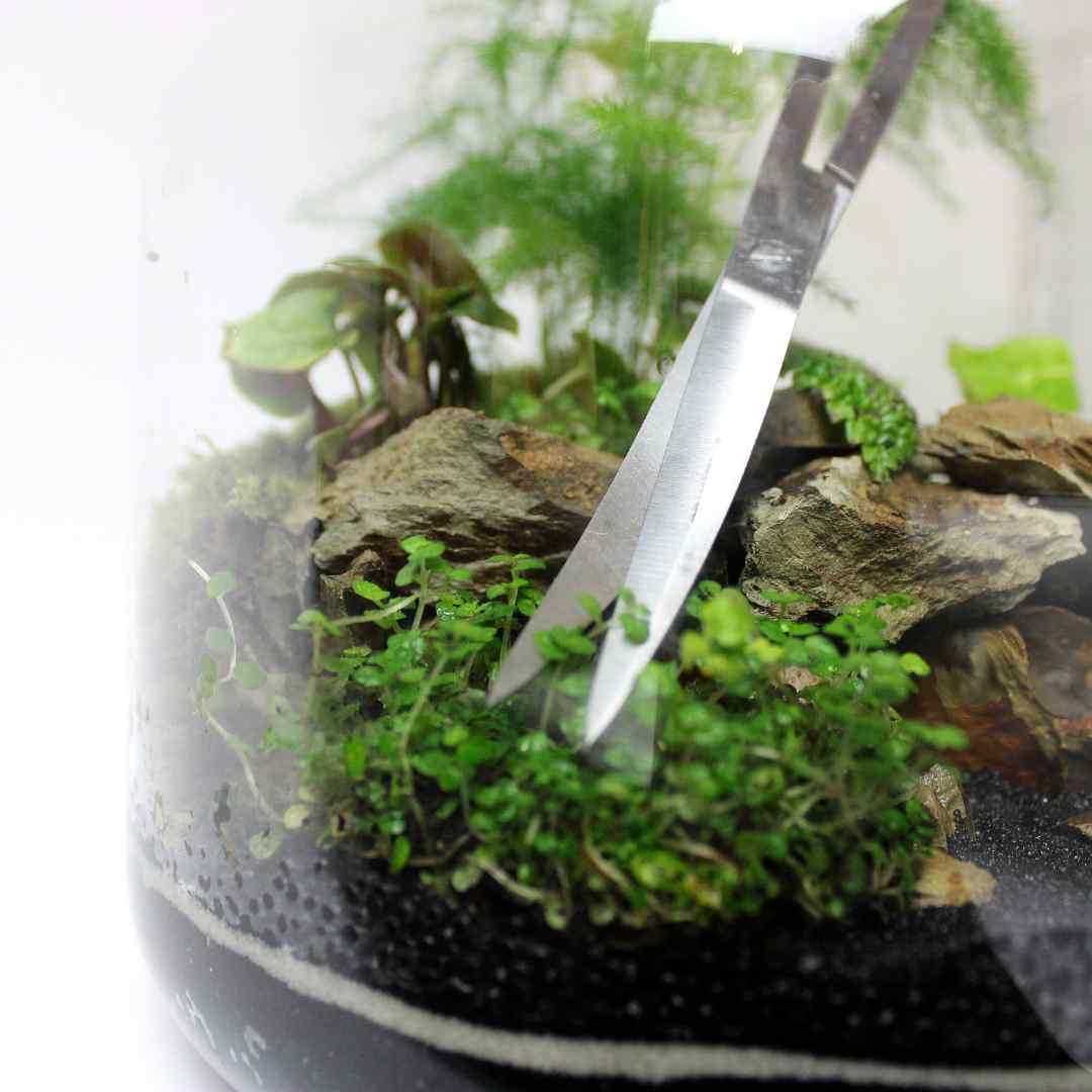 Terrarium Tool Kit - Image 8