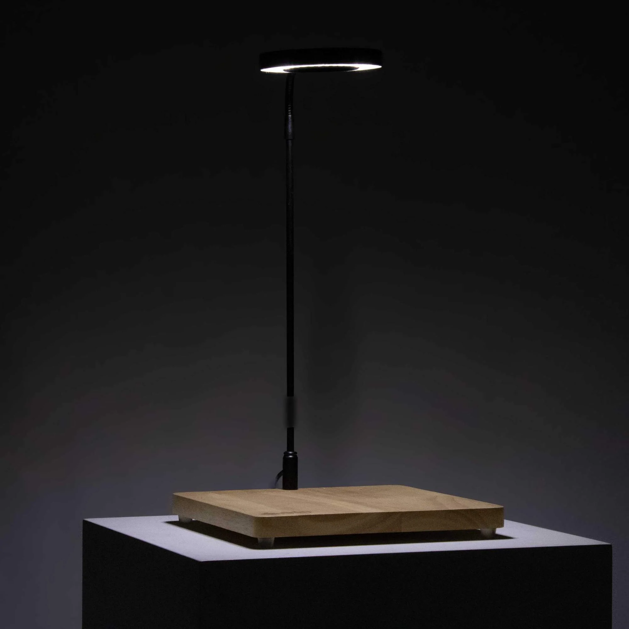 Wooden Display Board With Light - Image 9